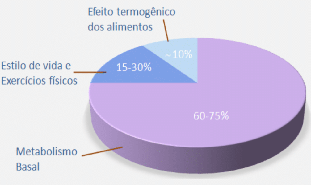 dieta vegana perder peso