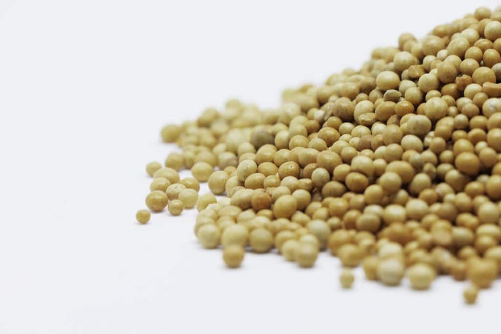 proteína de ervilha