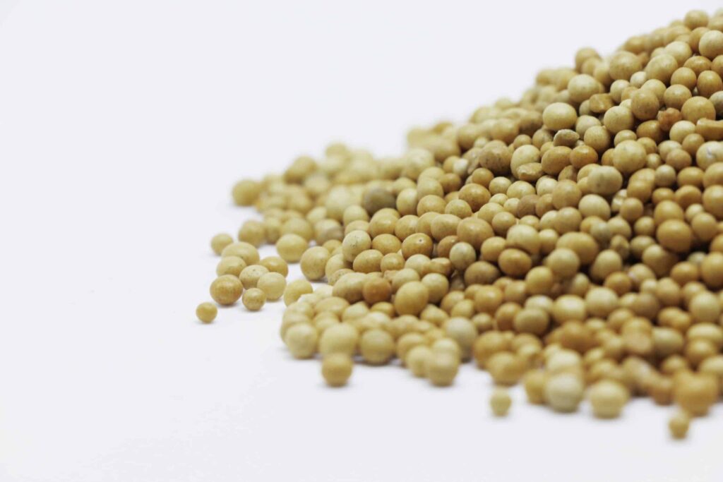proteína de ervilha