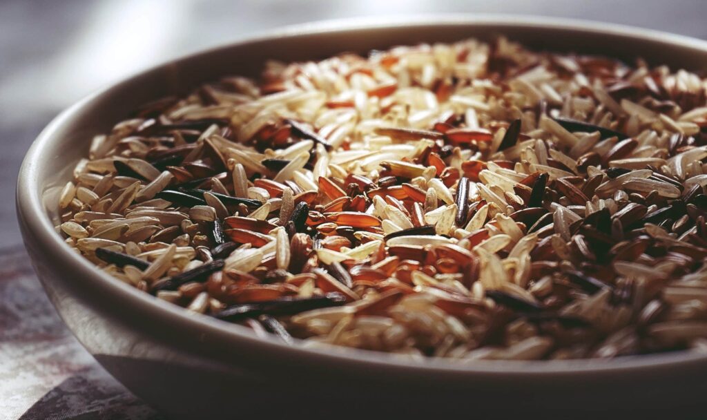 proteína de arroz