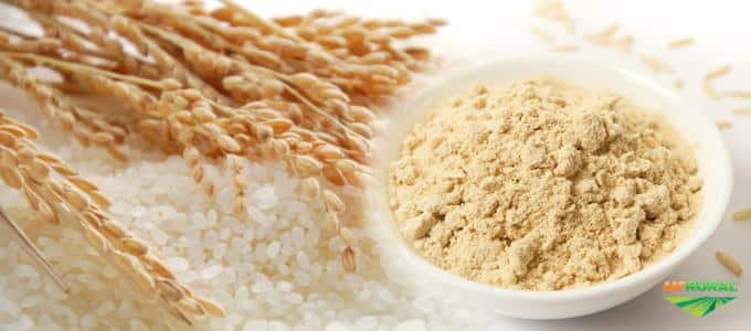 proteína de arroz