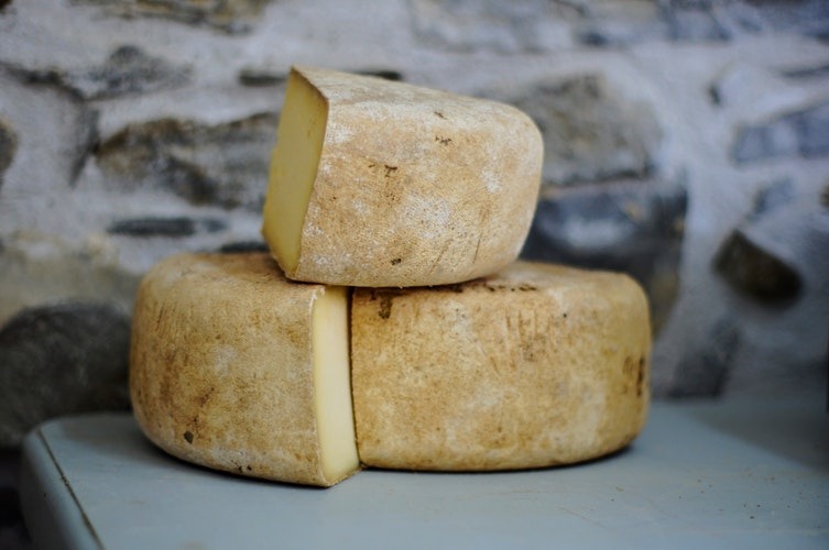 queijo vegano
