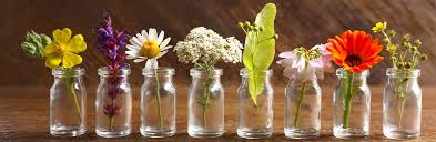 aromaterapia