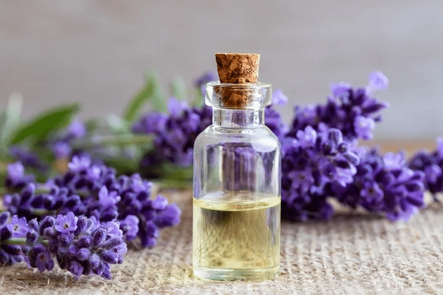 oleo essencial de lavanda